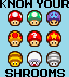 mariomycology1.png