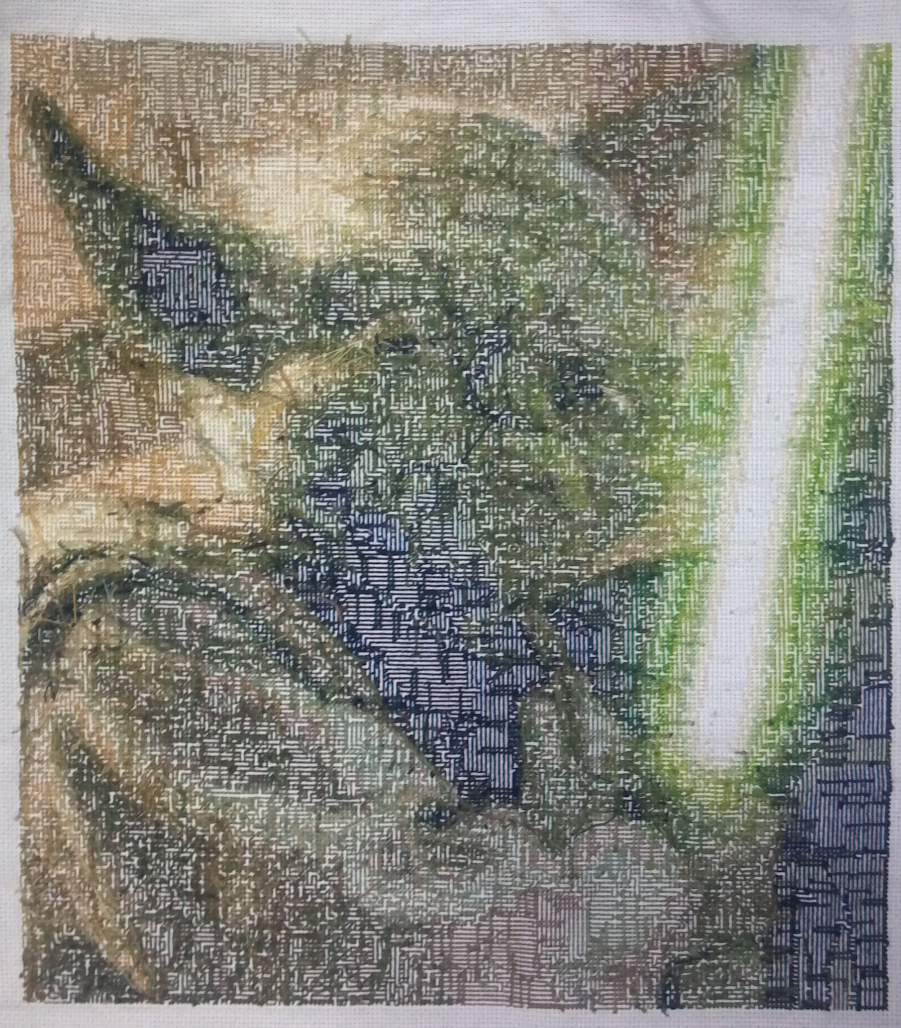 Yoda_Back.jpg