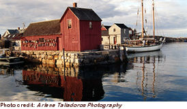 motif no 1.jpg