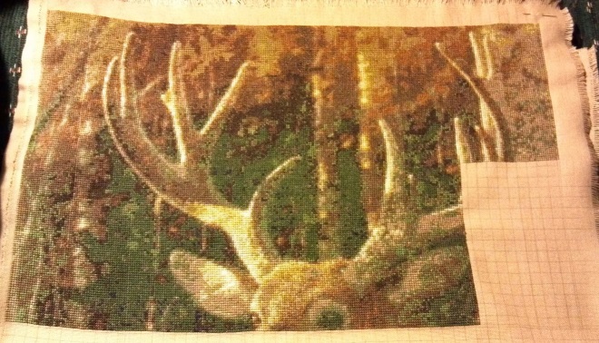 Deer 9.jpg