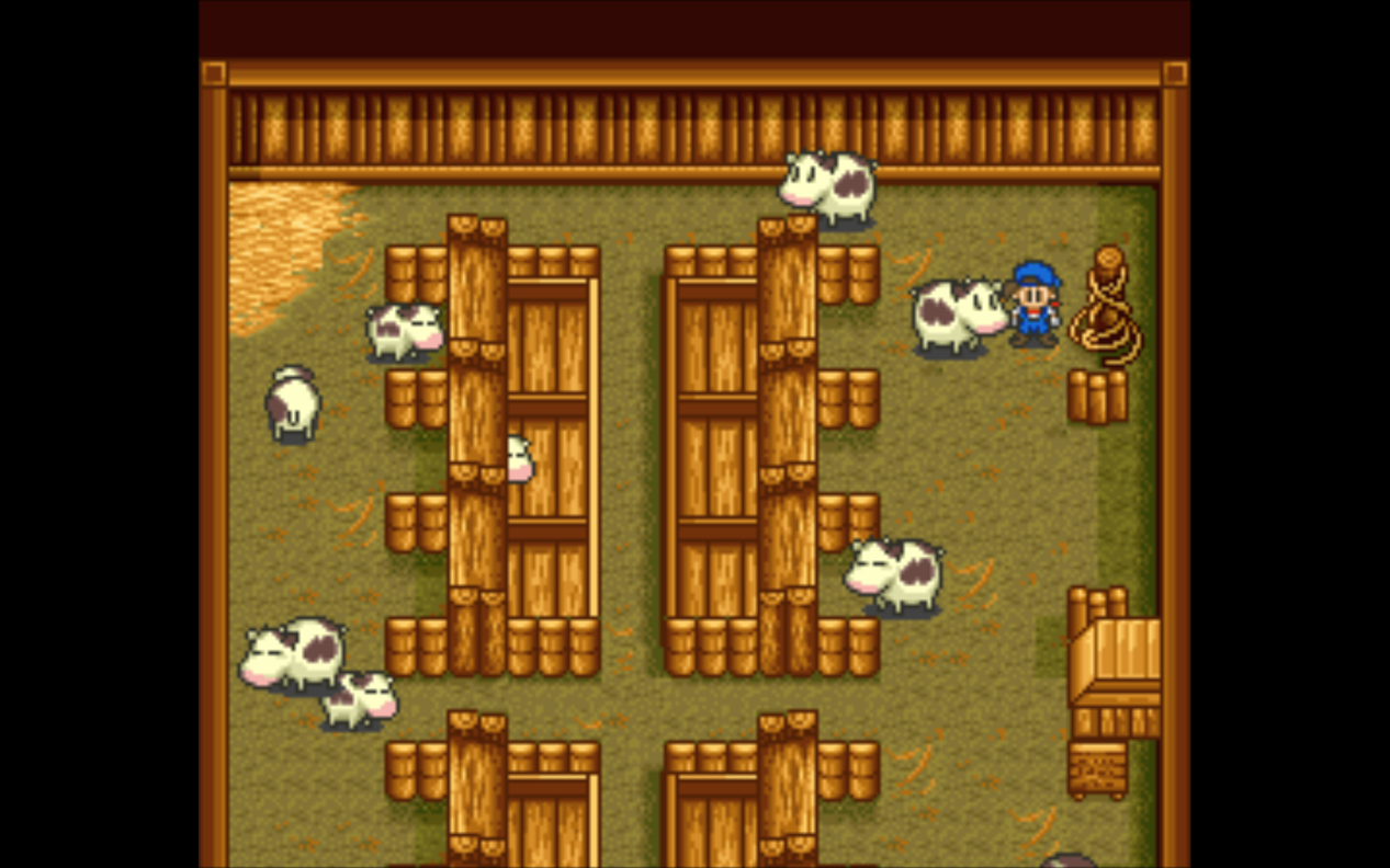 Picture 14.png