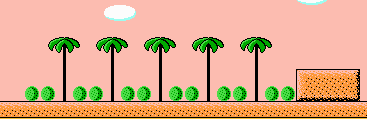 cacti and palms 2.png