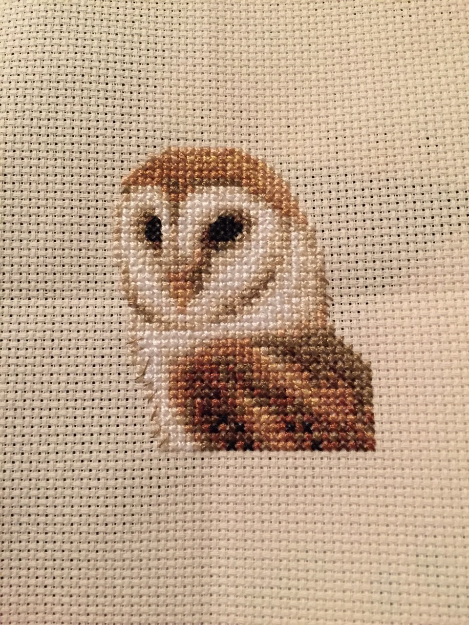 WIP Barn Owl 3.jpg