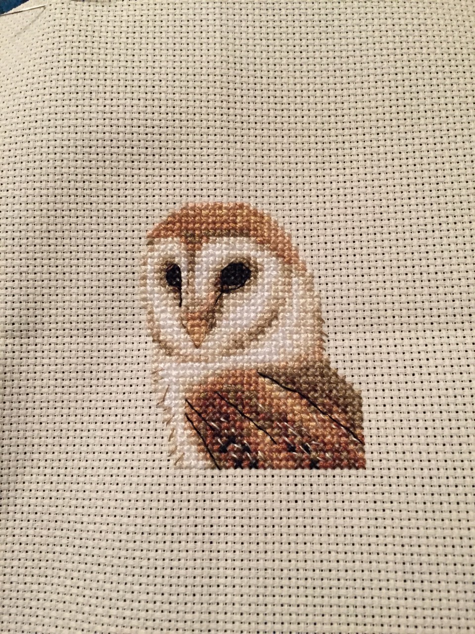 Barn Owl complete.jpg