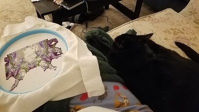 Crafting buddy.jpg