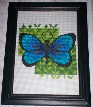 butterfly.jpg