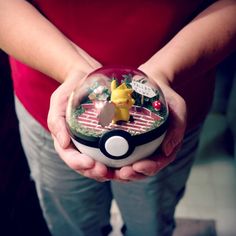 Awesome Pokemon Terrariums