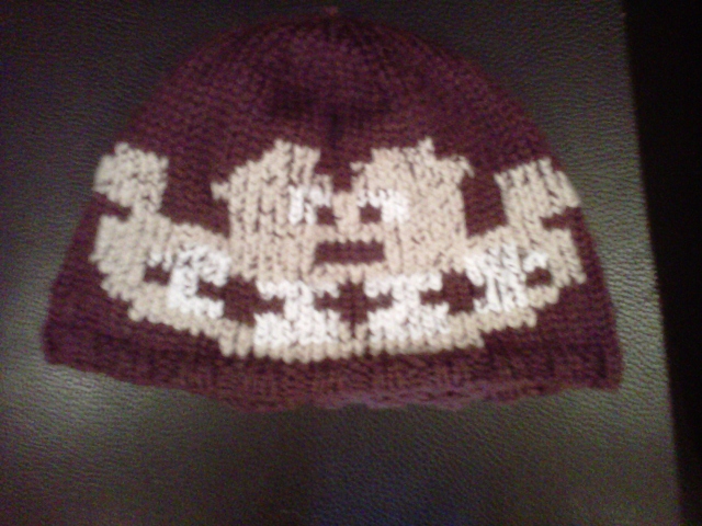 Donkey Kong Beanie (640x480).jpg