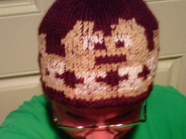 Donkey Kong Beanie 2 (640x479).jpg