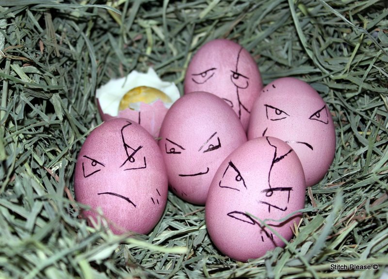 Exeggcute-1.JPG